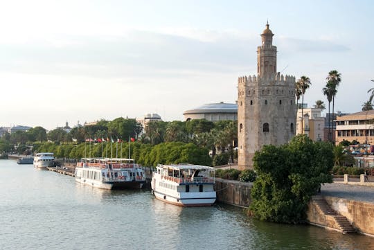 Sevilla-dagtrip vanuit Granada