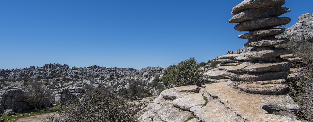 Viagem de dia inteiro a Antequera e El Torcal saindo de Granada