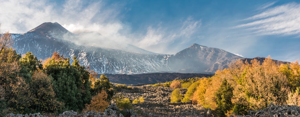 Tour del vino Etna desde Messina