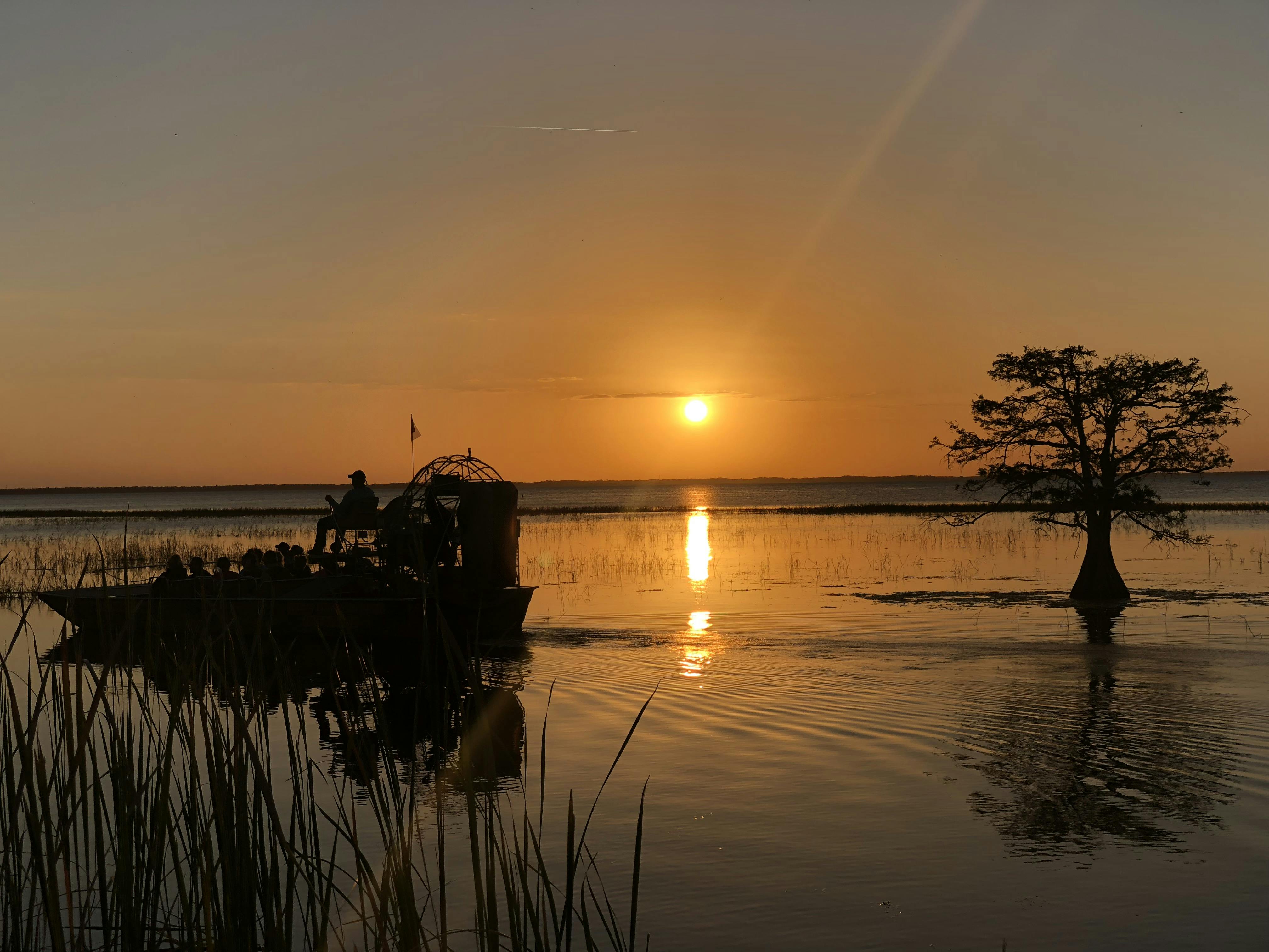 Excursion en hydroglisseur avec coucher du soleil dans les Everglades en Floride centrale avec entrée au parc