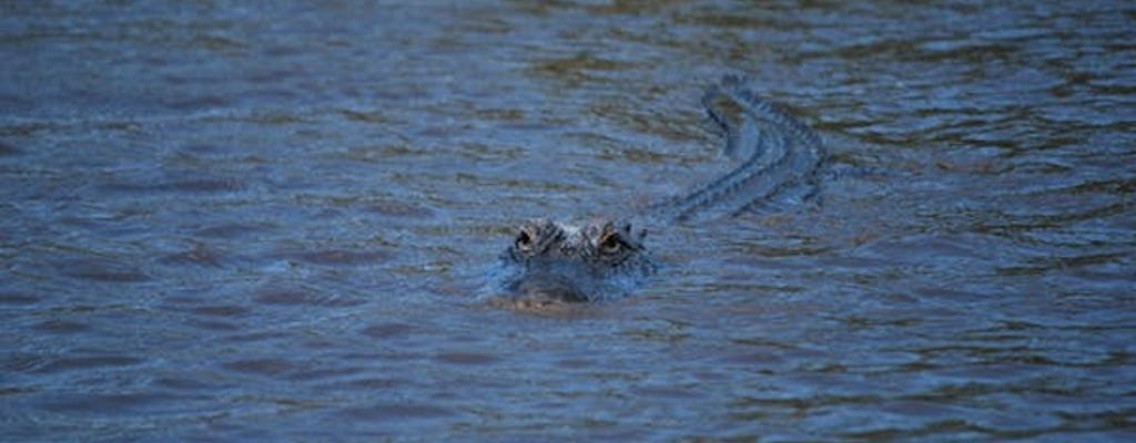 Central Florida Everglades night airboat tour with park admission