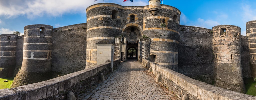 Entrance tickets to Château d'Angers