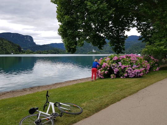 Excursão em grupo pequeno para a encantadora Ljubljana e o Lago Bled de Zagreb
