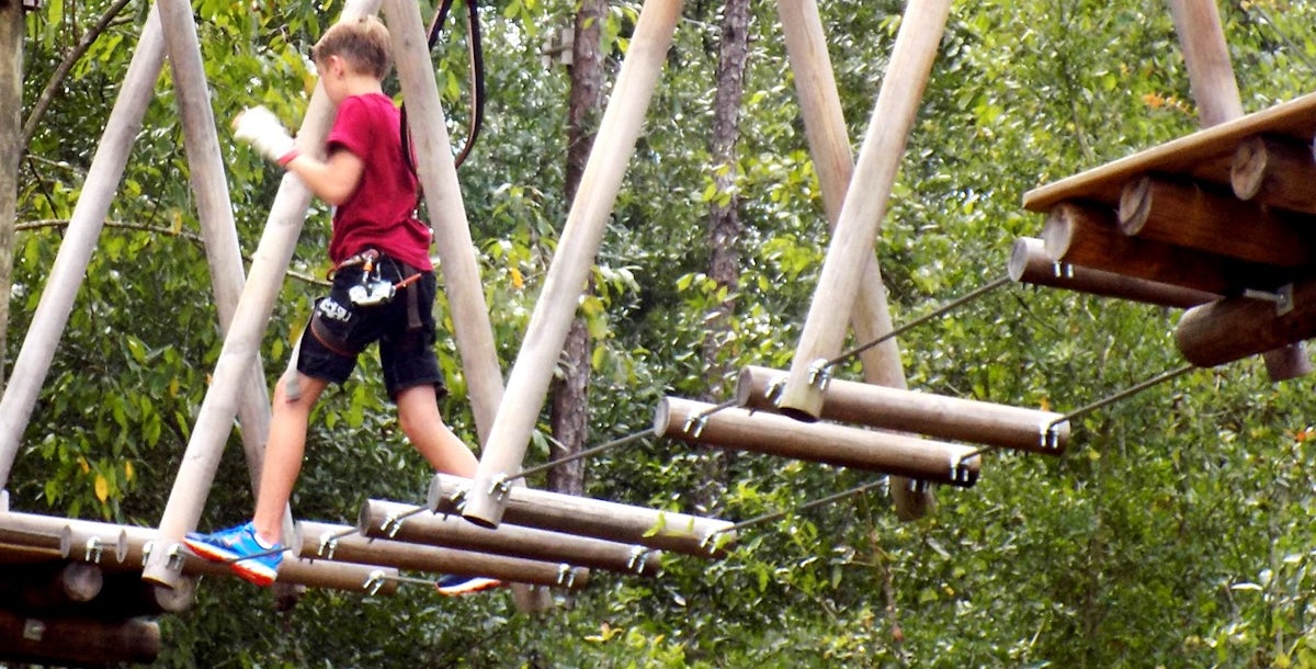 Tickets to Tree Trek Orlando musement