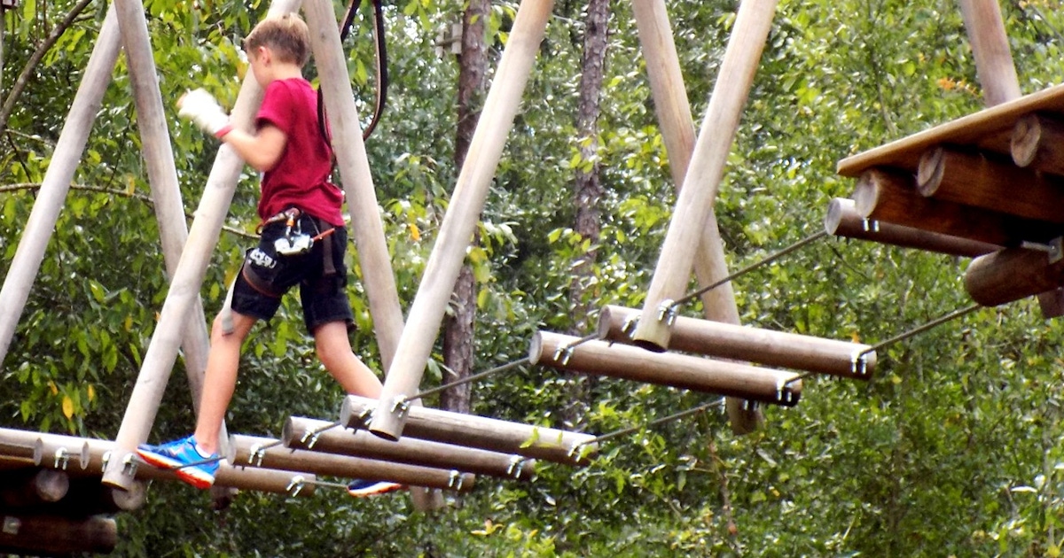 Tickets to Tree Trek Orlando | musement