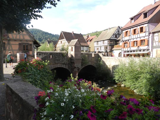 Excursão de dia inteiro às aldeias da Alsácia com degustação de vinhos e workshop