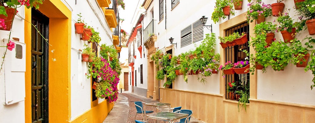 Cordoba guided walking tour