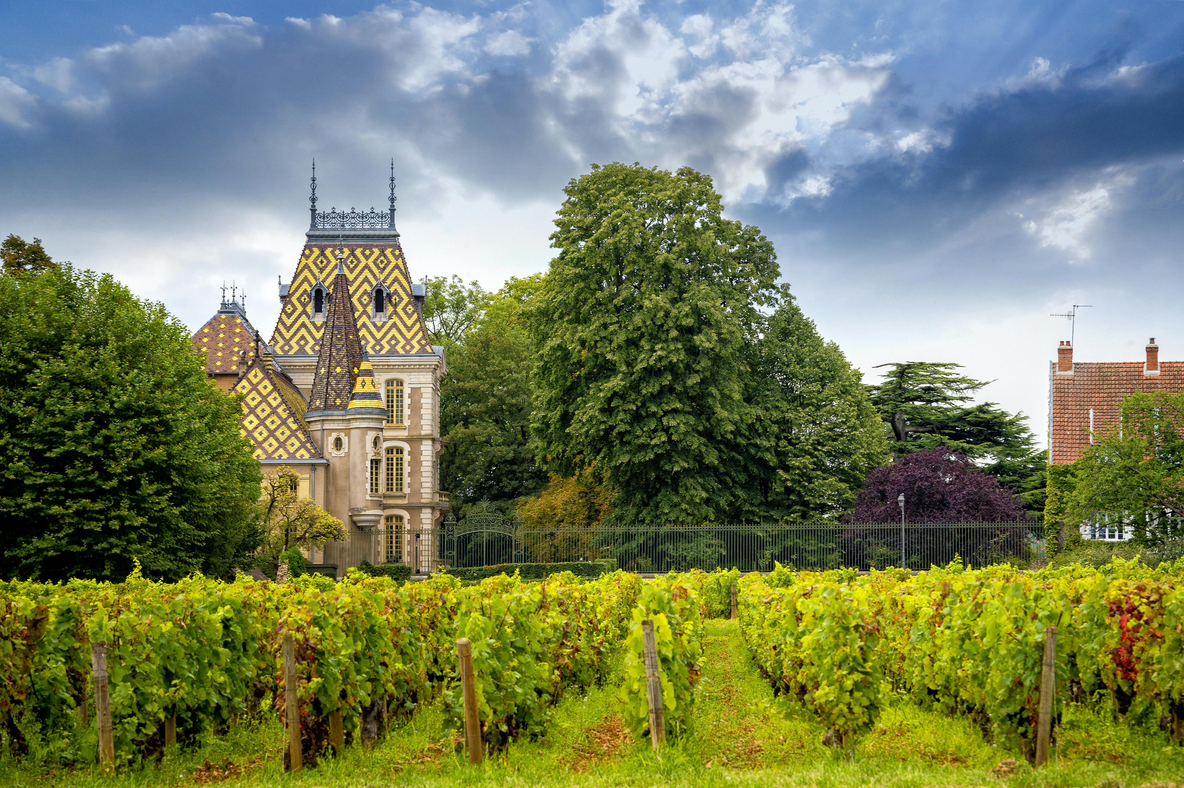 Excursión de 1 día a los viñedos de Borgoña con cata incluida desde París