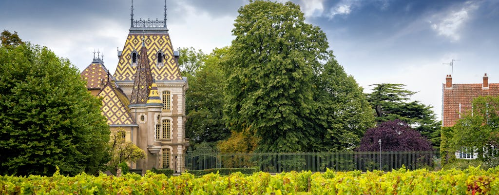 Excursión de 1 día a los viñedos de Borgoña con cata incluida desde París