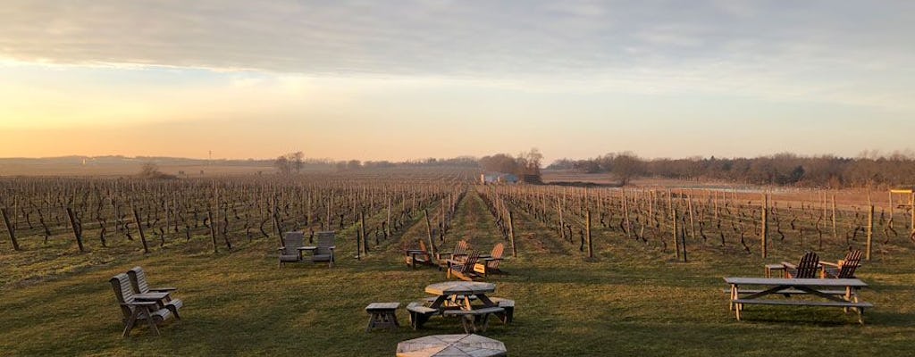 Journée de dégustation de vin au départ de New York