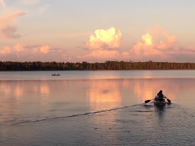 Excursão de Eco-Kayak na Flórida Central