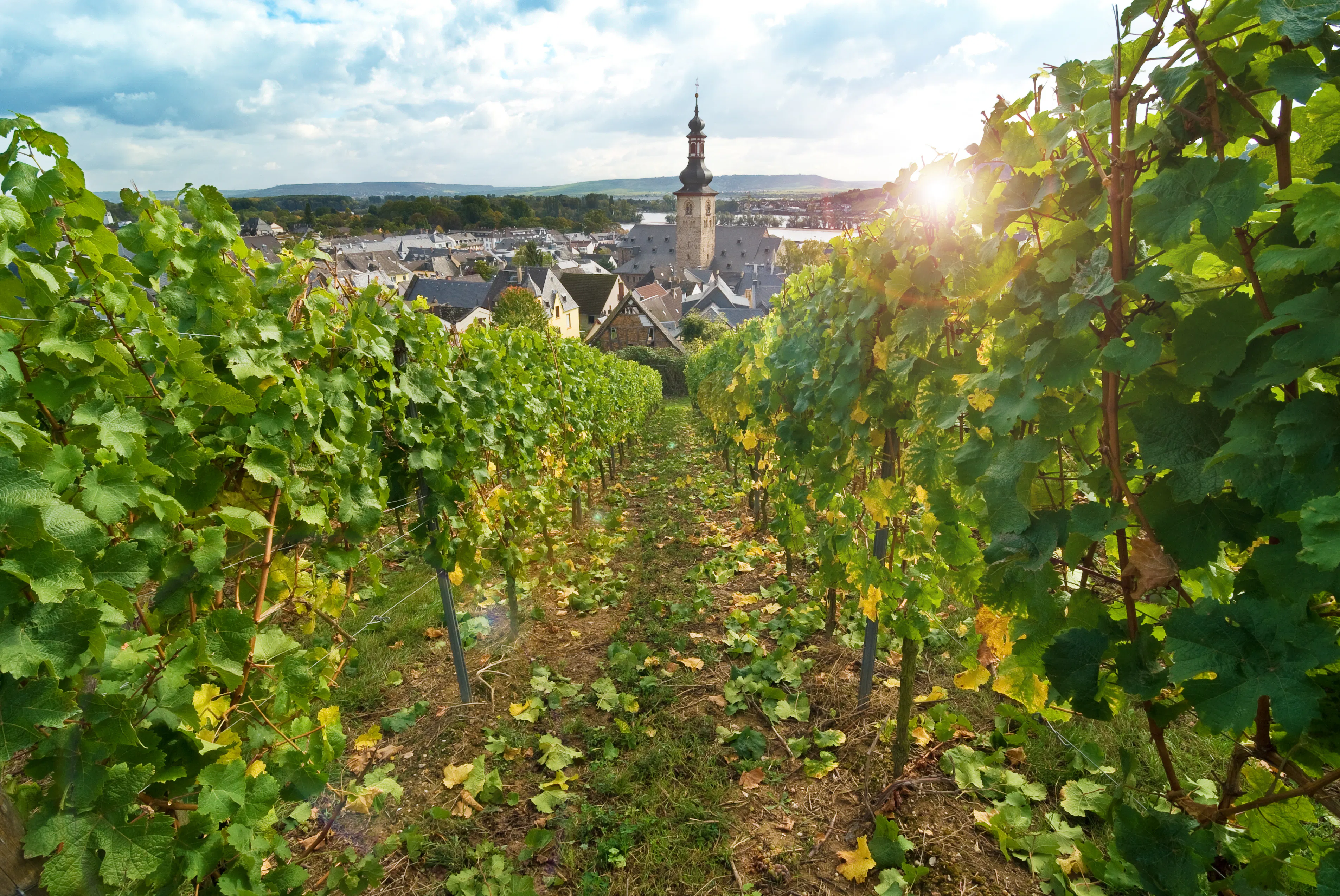 Rüdesheim am Rhein