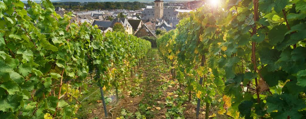 Coisas para fazer em Rüdesheim am Rhein