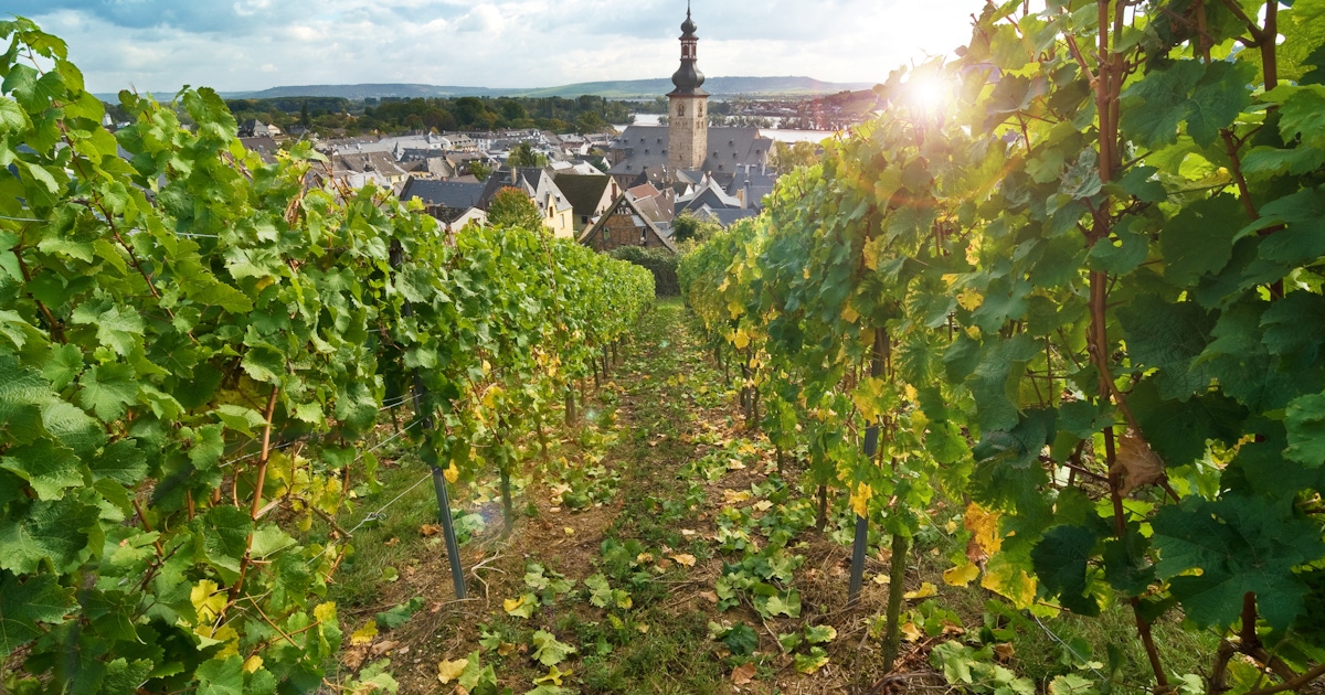 Rüdesheim am Rhein