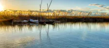 Albufera