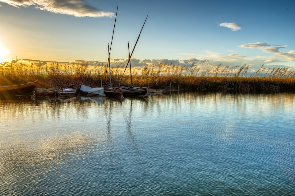 Tours for Albufera