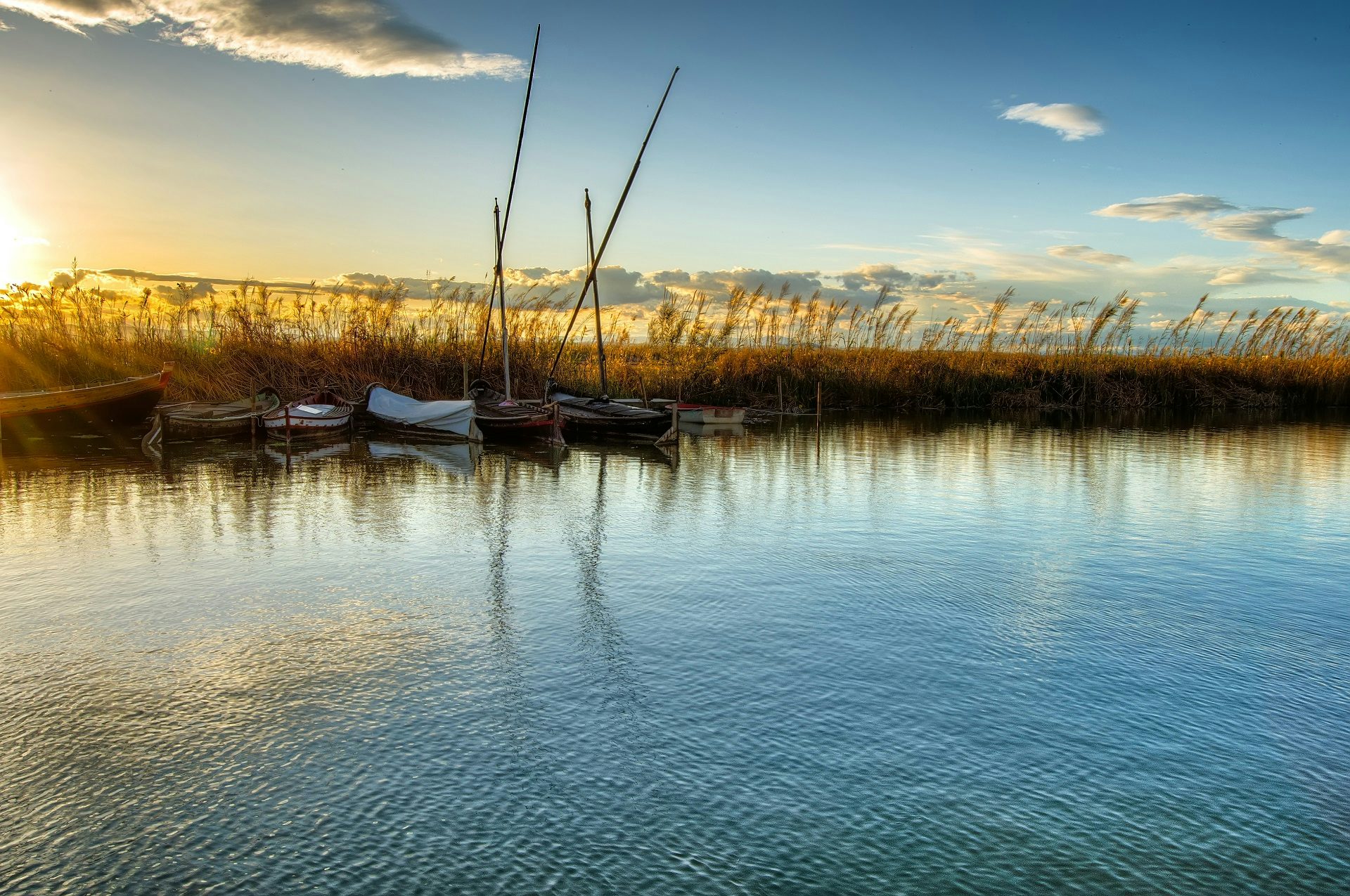 Tour per Albufera musement