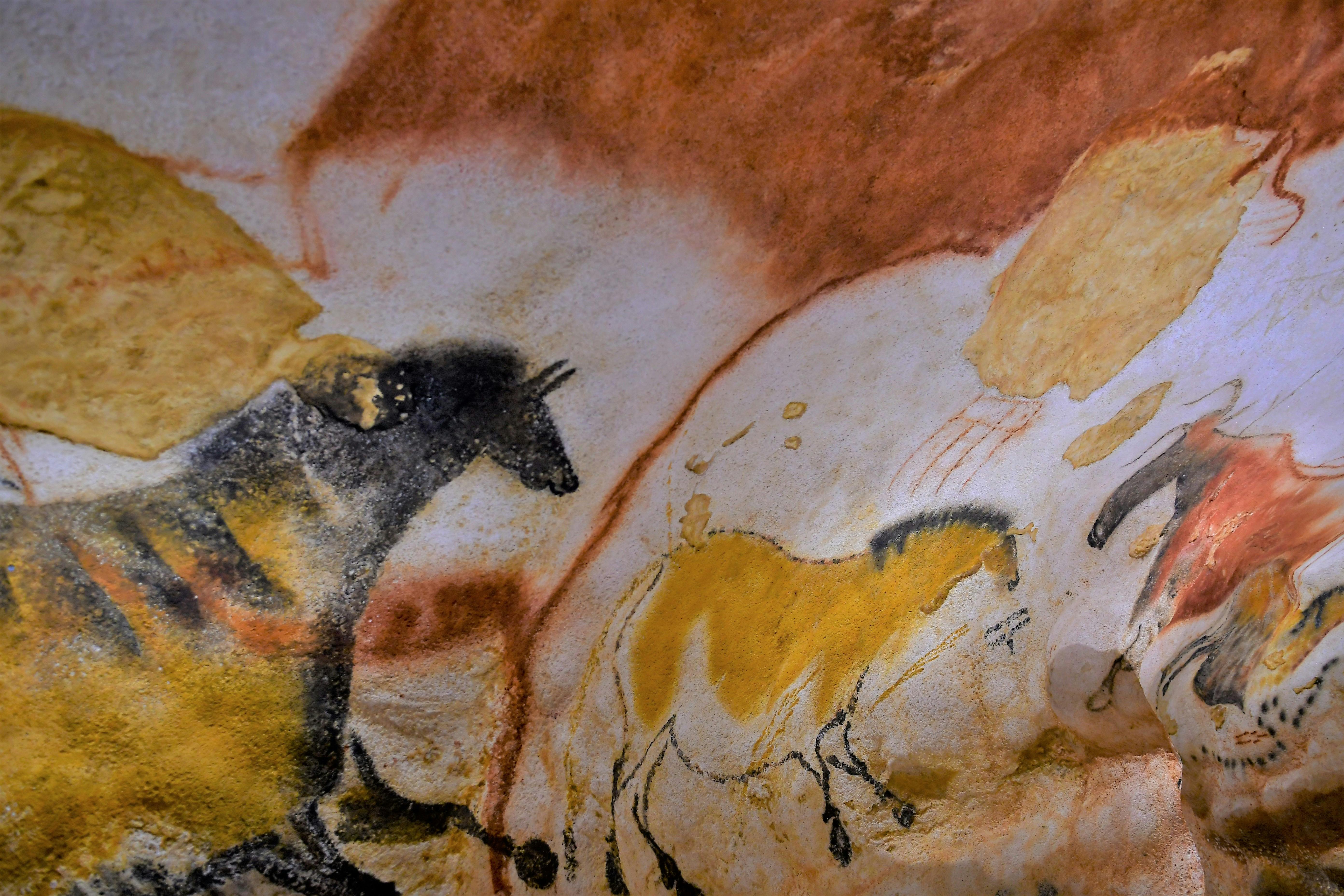 Daily shared tour of the Paleolithic art of Dordogne