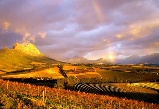 Cape Winelands full-day tour