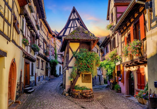 Full-day shared tour of the pearls of Alsace