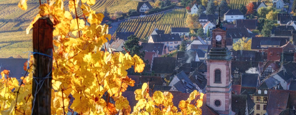 Excursion œnologique en groupe d'une demi-journée en Alsace au départ de Colmar