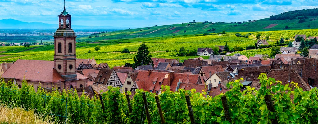 Alsace villages half-day shared  tour from Colmar