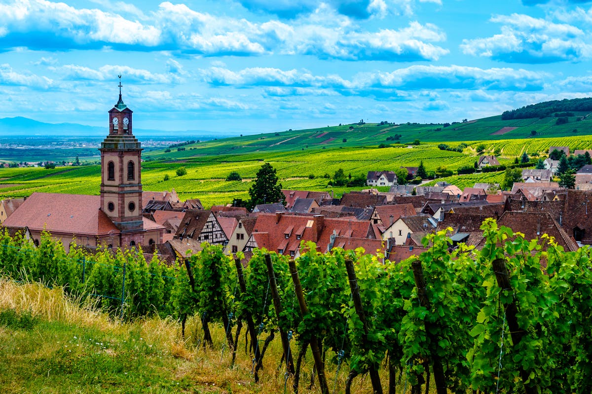 Elzasdorpen halve dag gedeelde tour vanuit Colmar