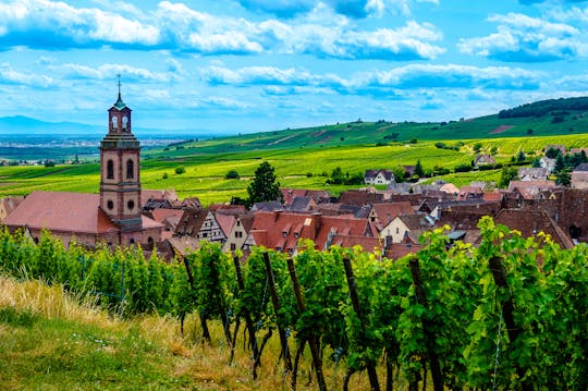 Alsace villages half-day shared  tour from Colmar