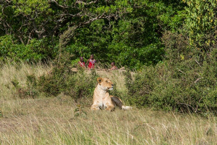 Masai Mara two-day safari at Mara Engai Wilderness Lodge