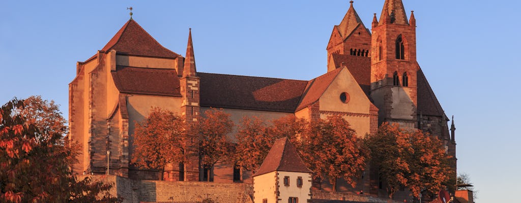 River Cruises Collection: Walking Tour of Breisach & Wine-tasting