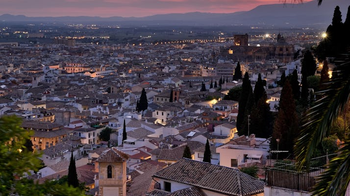 Tour inspiegabile di Granada