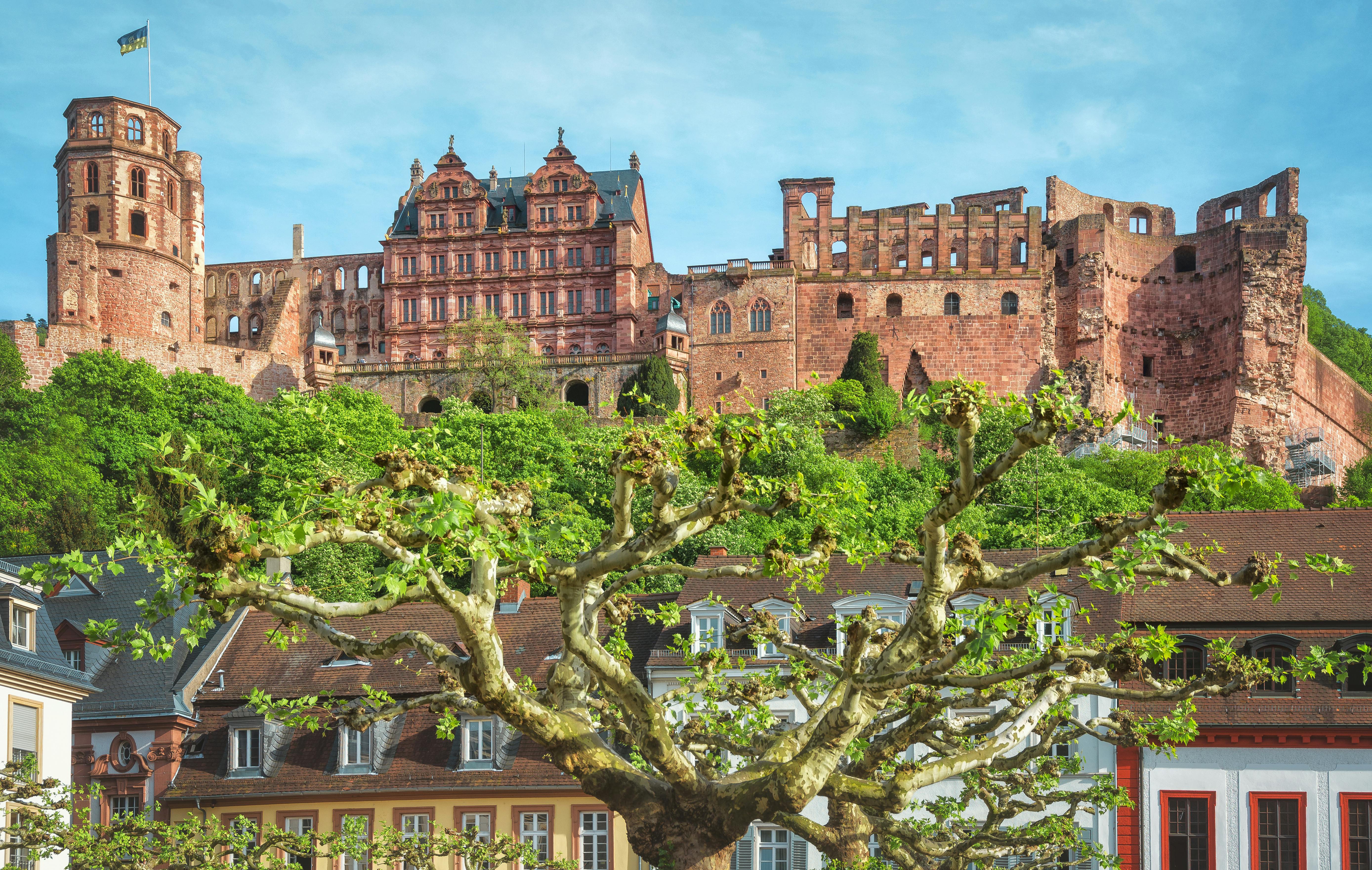 River Cruises Collection: Heidelberg Castle and City tour