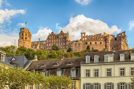 River Cruises Collection: Heidelberg City Tour & Castle