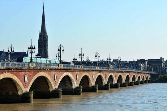 Tour storico privato a piedi di Bordeaux