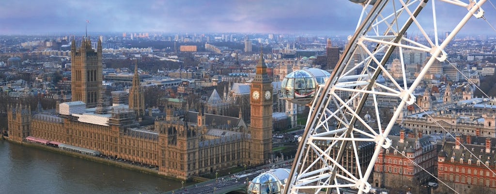 Passe de 24 horas pelo Rio Tâmisa e entrada para o London Eye