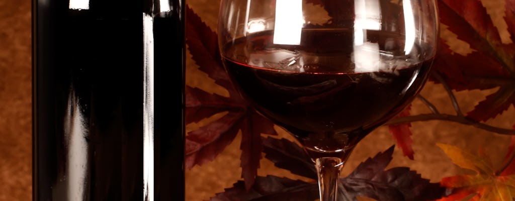 Experiência privada de degustação de vinhos em Bolonha