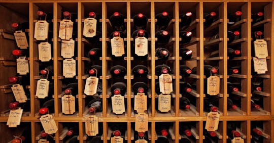 Visite privée d'une demi-journée sur les vins du Médoc au départ de Bordeaux