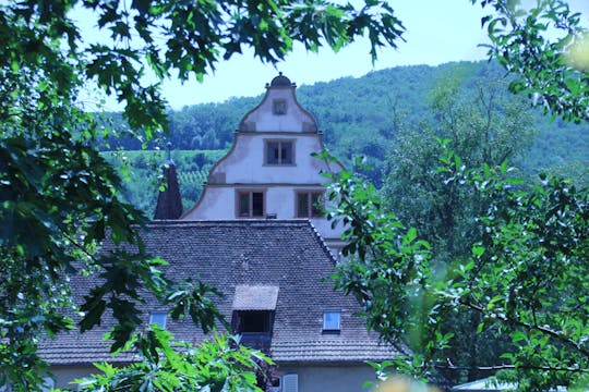 Visite d'une journée des villages de Barr - château médiéval et atelier interactif avec dégustation de vin