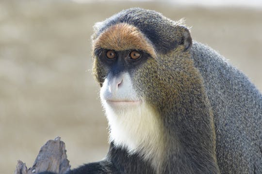 Ingressos combinados Terra Natura Zoo + Aqua Natura