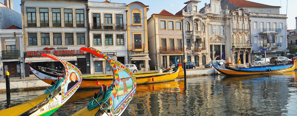 Aveiro and Ílhavo full-day tour from Porto