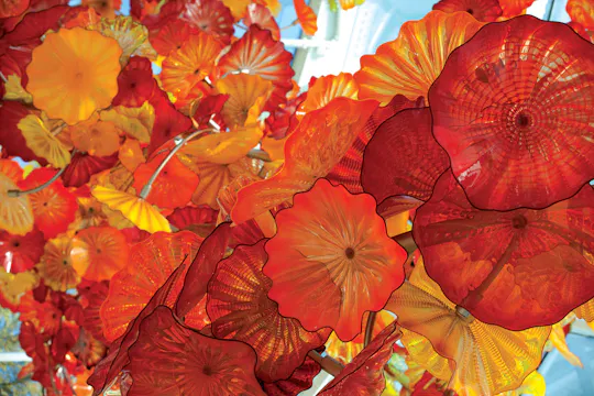 Chihuly Garden and Glass tickets