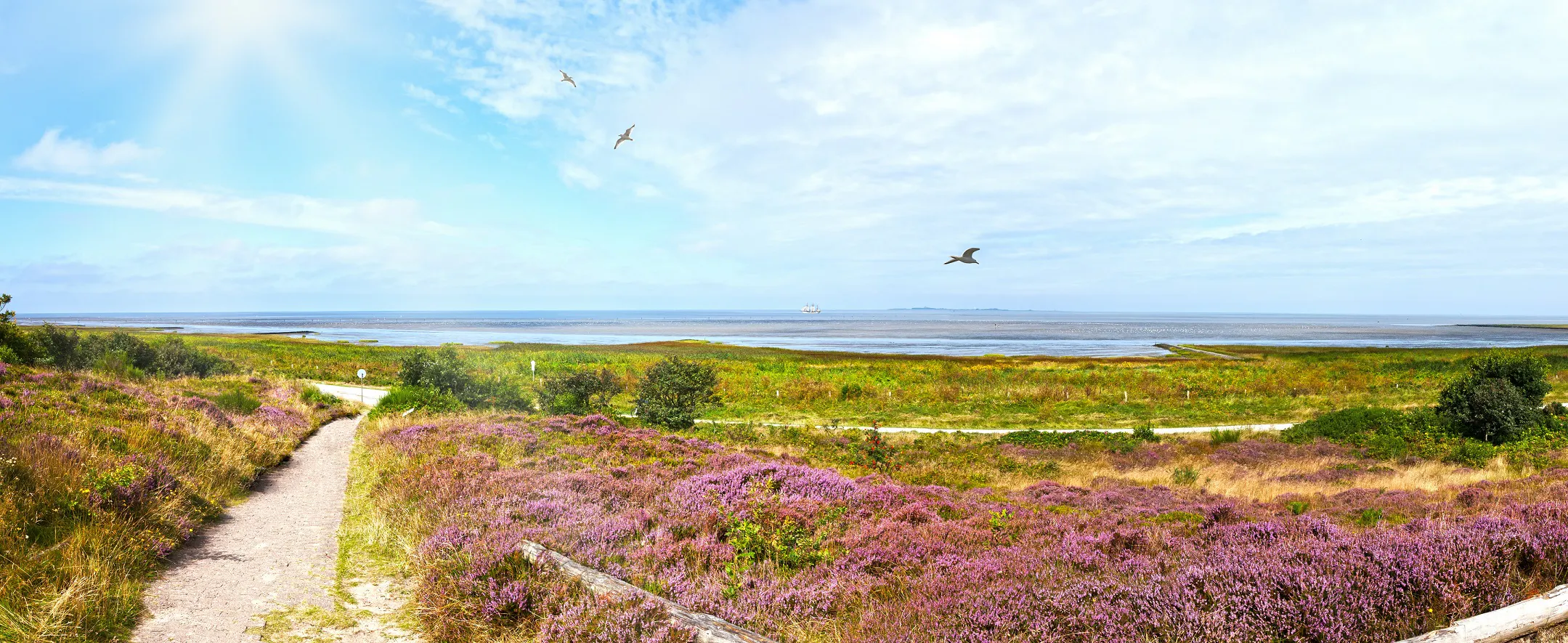 Cuxhaven