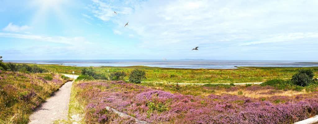 Things to do in Cuxhaven