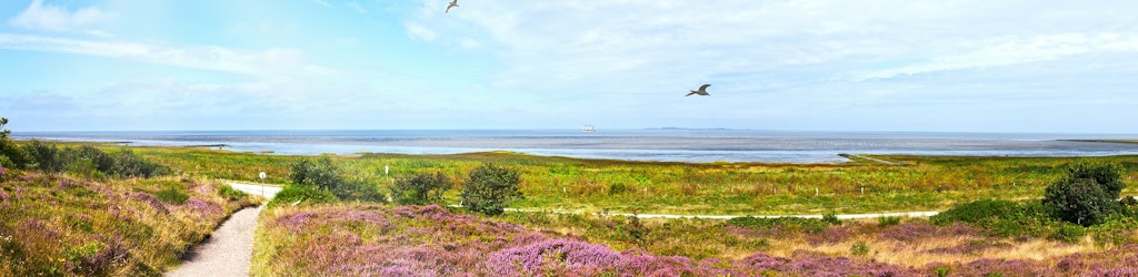 Cuxhaven tours and tickets