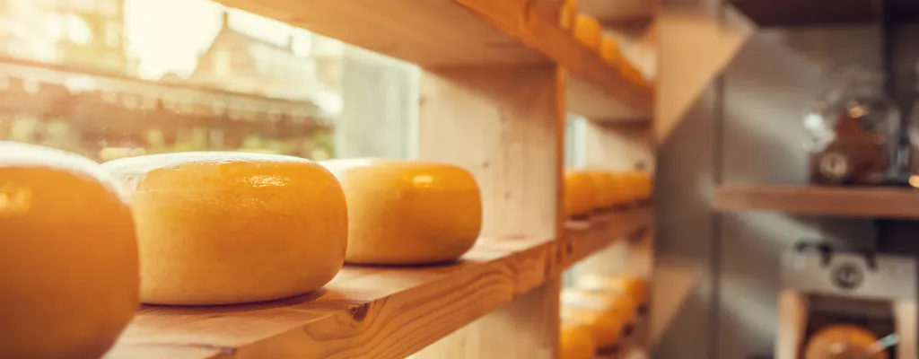 Henri Willig Cheese