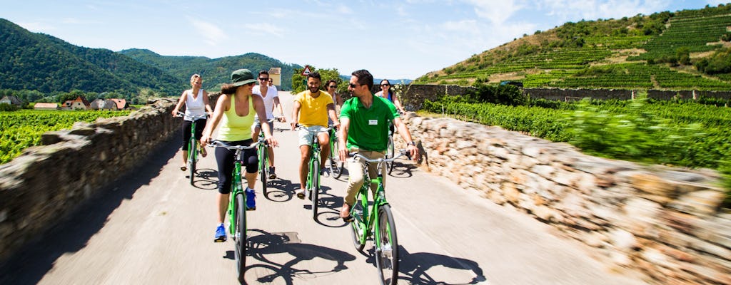 Small group Wachau Valley winery bike tour