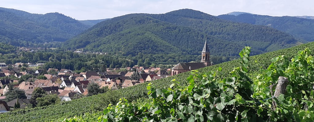 Excursión de un día al valle de Munster, la granja de cabras y la carretera de la cresta con degustación de vinos