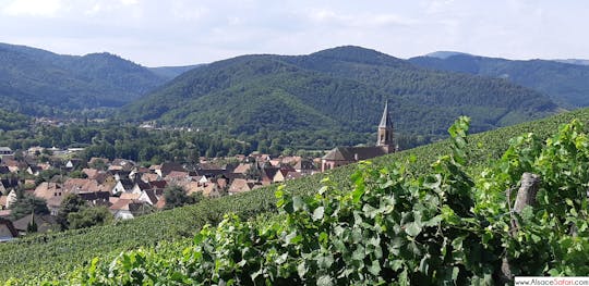 Tagestour Münstertal, Ziegenhof und Höhenweg mit Weinprobe