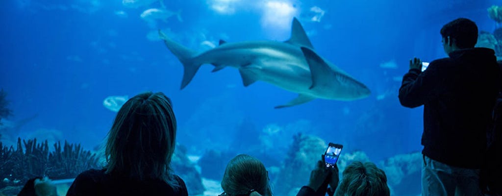 Indgangsbilletter til Lissabon Oceanarium