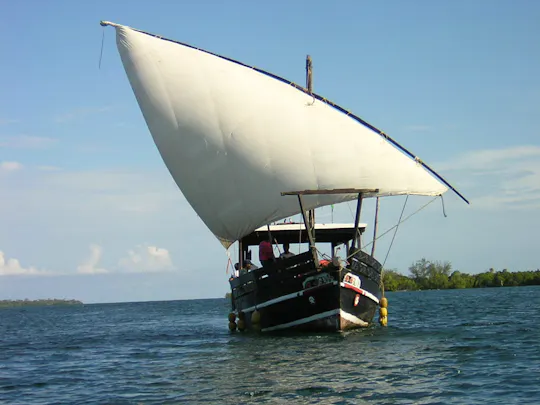 Rejs dhow na wyspy Funzi i Kinazini